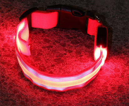 The Light-Safe Rechargeable LED Safety Collar™