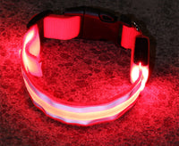 The Light-Safe Rechargeable LED Safety Collar™
