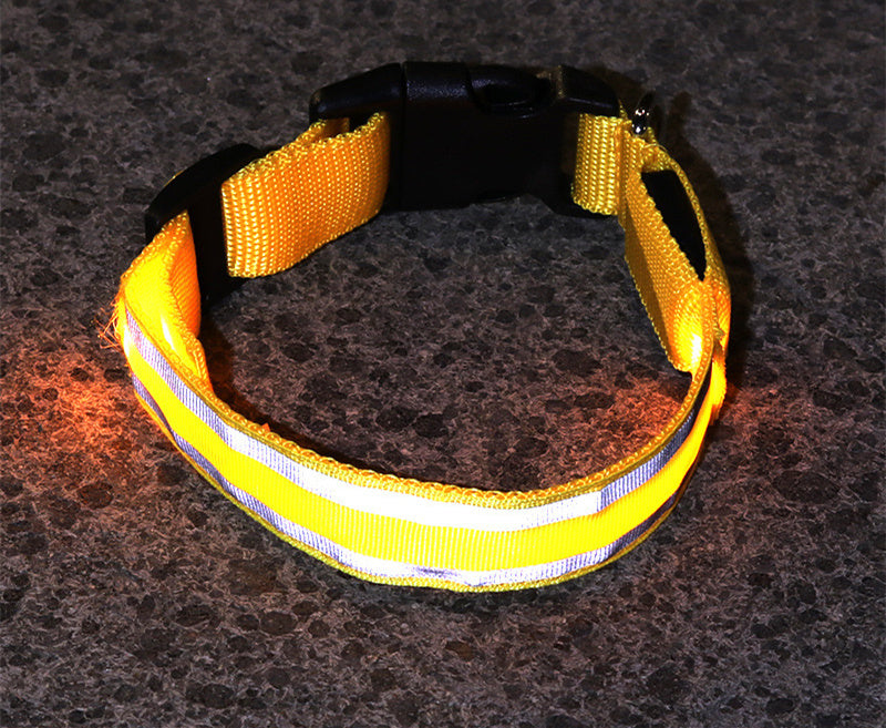 The Light-Safe Rechargeable LED Safety Collar™