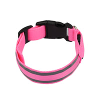 The Light-Safe Rechargeable LED Safety Collar™