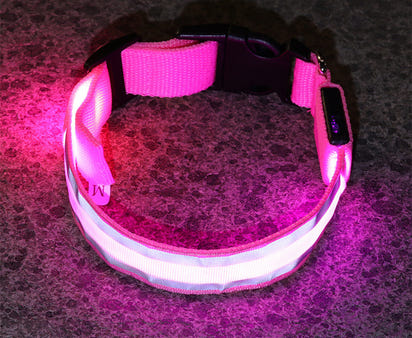 The Light-Safe Rechargeable LED Safety Collar™