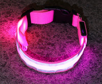 The Light-Safe Rechargeable LED Safety Collar™