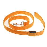 The Light-Safe Luminous Dog Leash™