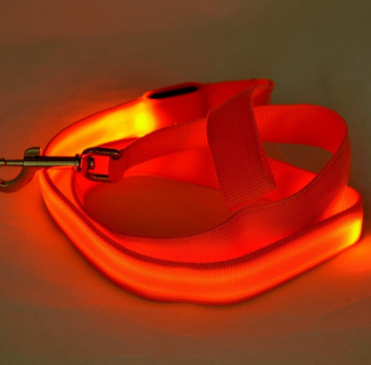 The Light-Safe Luminous Dog Leash™