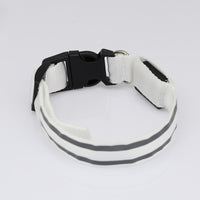 The Light-Safe Rechargeable LED Safety Collar™