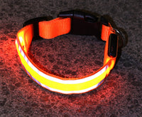 The Light-Safe Rechargeable LED Safety Collar™
