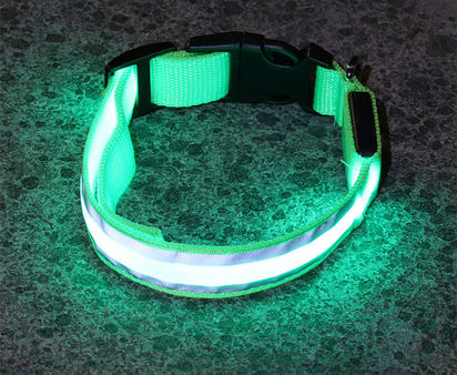 The Light-Safe Rechargeable LED Safety Collar™