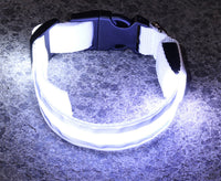 The Light-Safe Rechargeable LED Safety Collar™