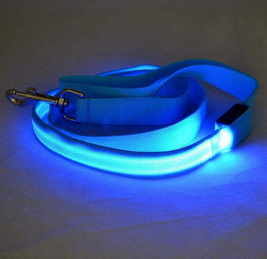 Illuminate Your Nights: Keep Your Dog Safe!