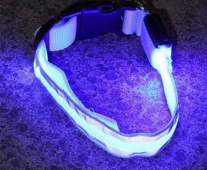 The Light-Safe Rechargeable LED Safety Collar™