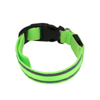 The Light-Safe Rechargeable LED Safety Collar™