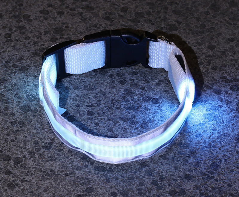 The Light-Safe Rechargeable LED Safety Collar™